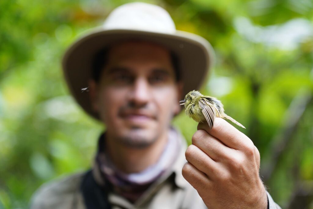 levantamento de fauna